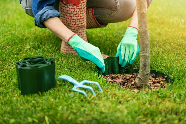 istockphoto 1248730220 612x612 1